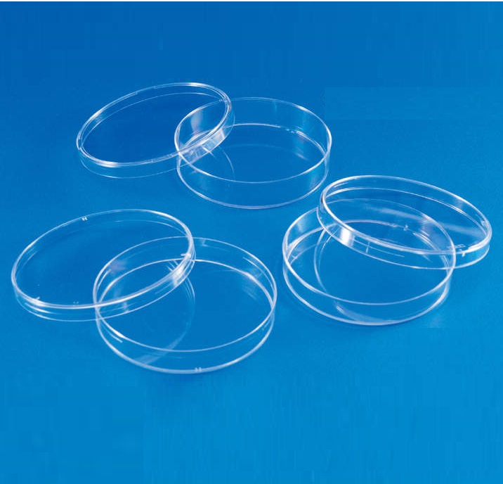 Hộp lồng petri fi 15cm