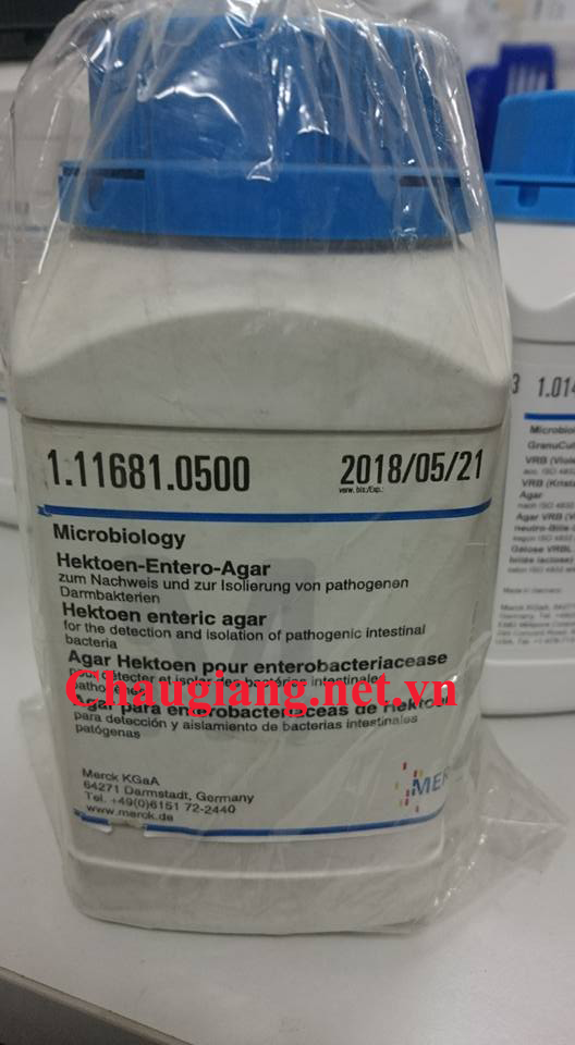 Hektoen enteric agar