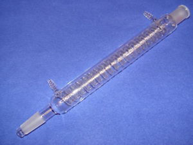 Sinh hàn xoắn nhám 29 30cm