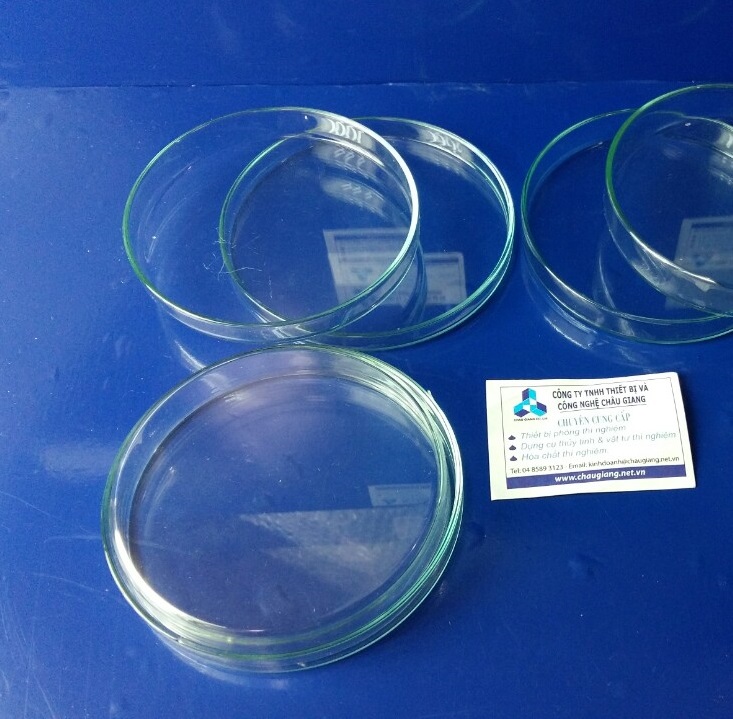 Hộp lồng petri fi 12cm