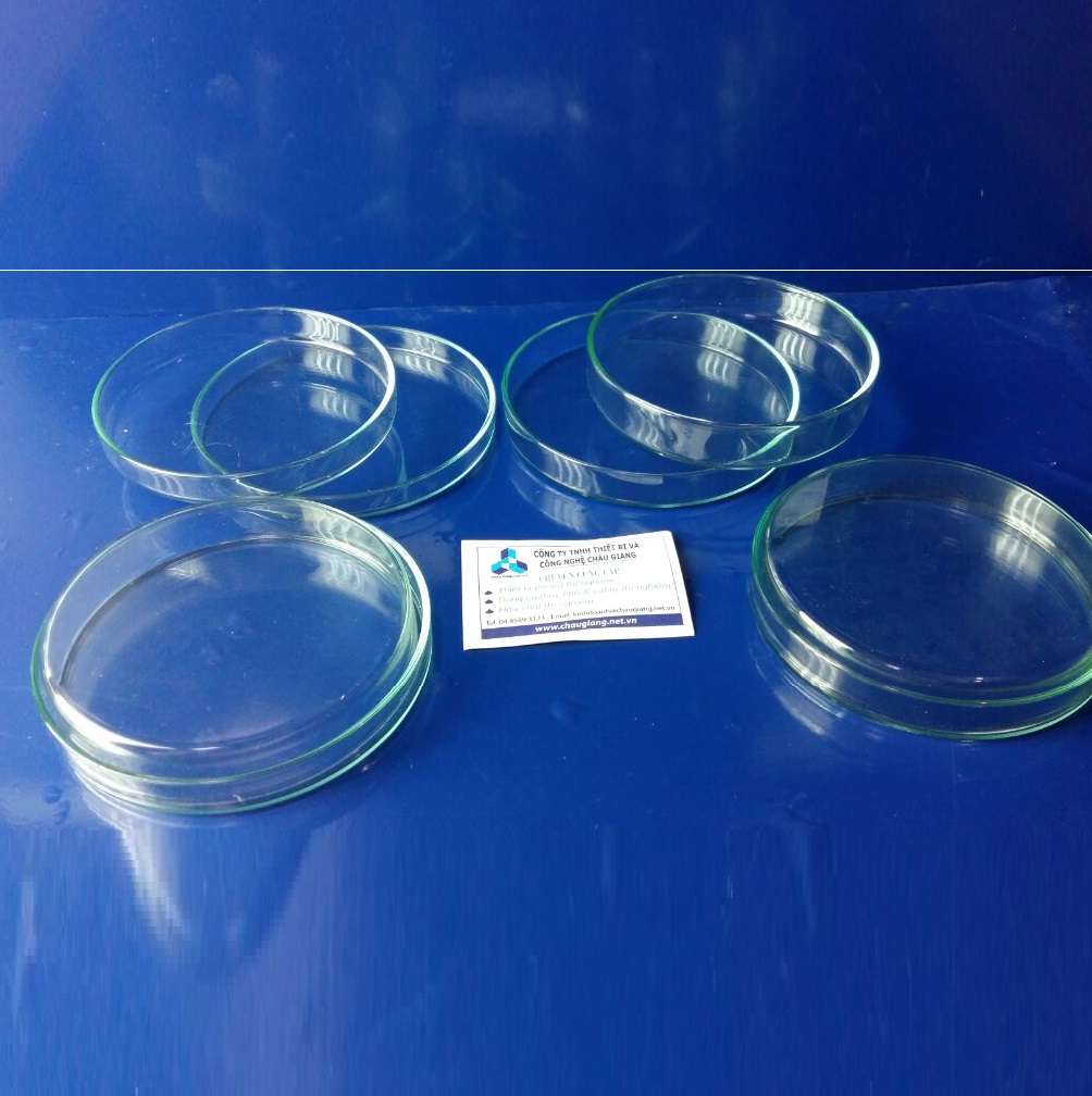 Hộp lồng petri fi 9cm