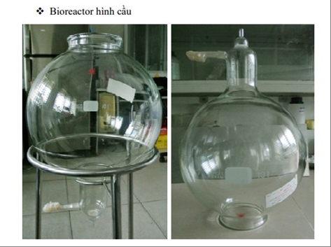 Bình Bioreactor